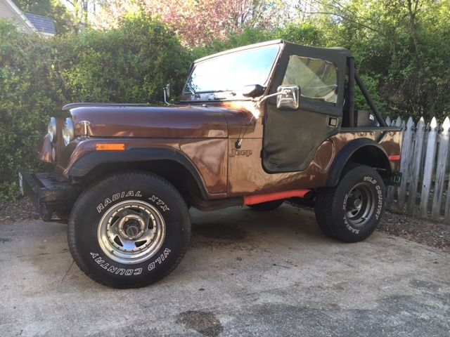 1973 Amc Jeep Cj5 304 V8