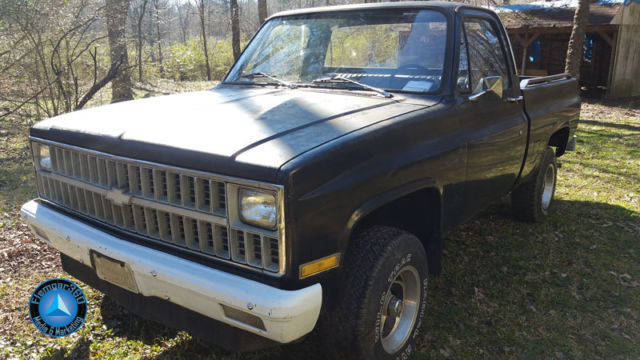 1981 chevy truck long bed