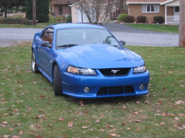 1999 Ford Mustang Gt Coupe 2 Door 4 6l Many Extras Wheels