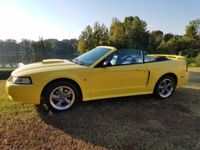 2002 Mustang Gt Convertible Leather Interior New Top