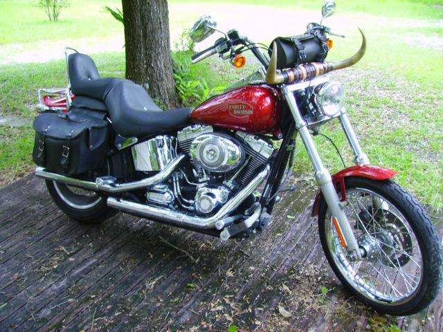 2008 softail custom HD